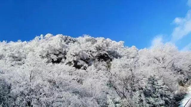 脑洞小老弟无实名认证