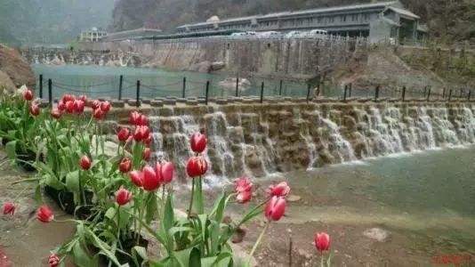 春雨直播app